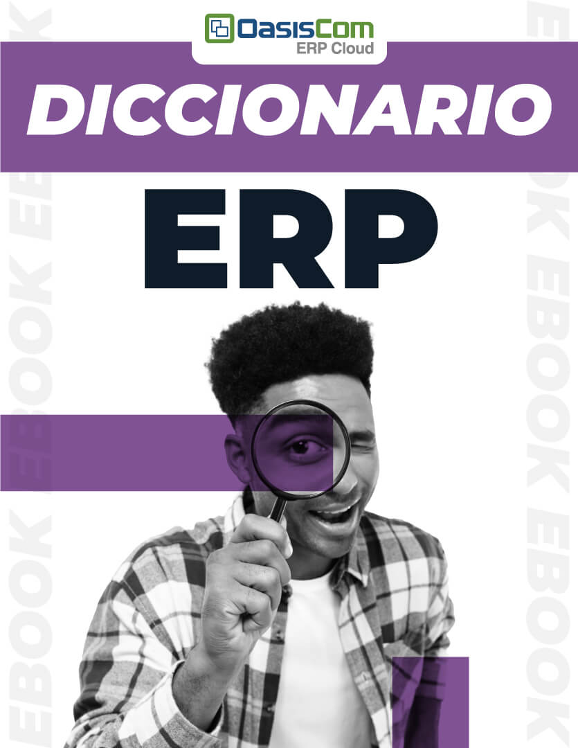 Ebook Diccionario ERP